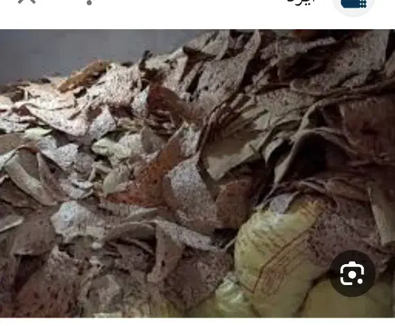 خرید و فروش نان خشک دامی|لوازم جانبی حیوانات|میبد, |دیوار