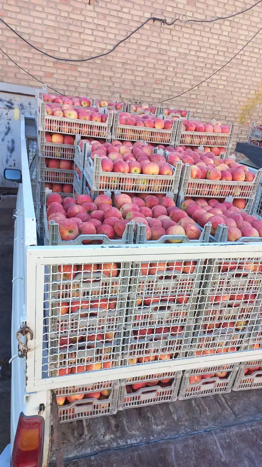 سرمایه‌گذاری با ۲۵درصد سود ظرف ۳ ماه|خدمات مالی، حسابداری، بیمه|مشهد, کوثر|دیوار