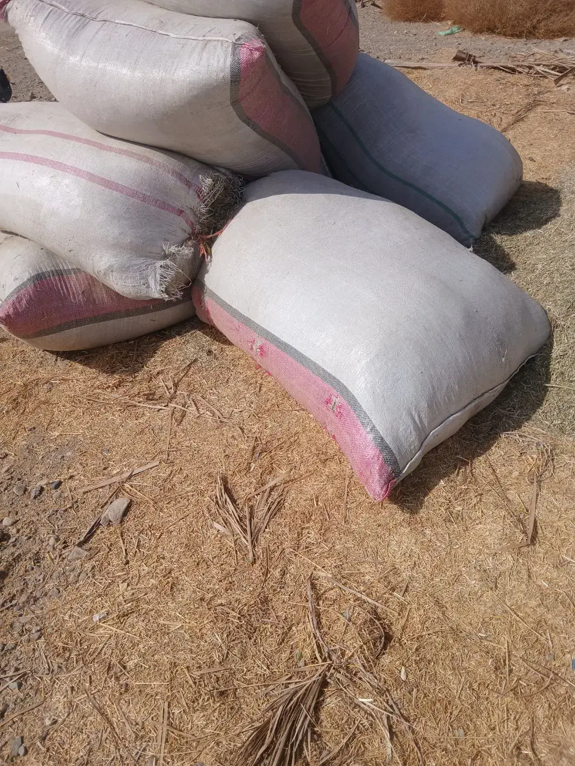 کاه لوبیا|لوازم جانبی حیوانات|کهنوج, |دیوار