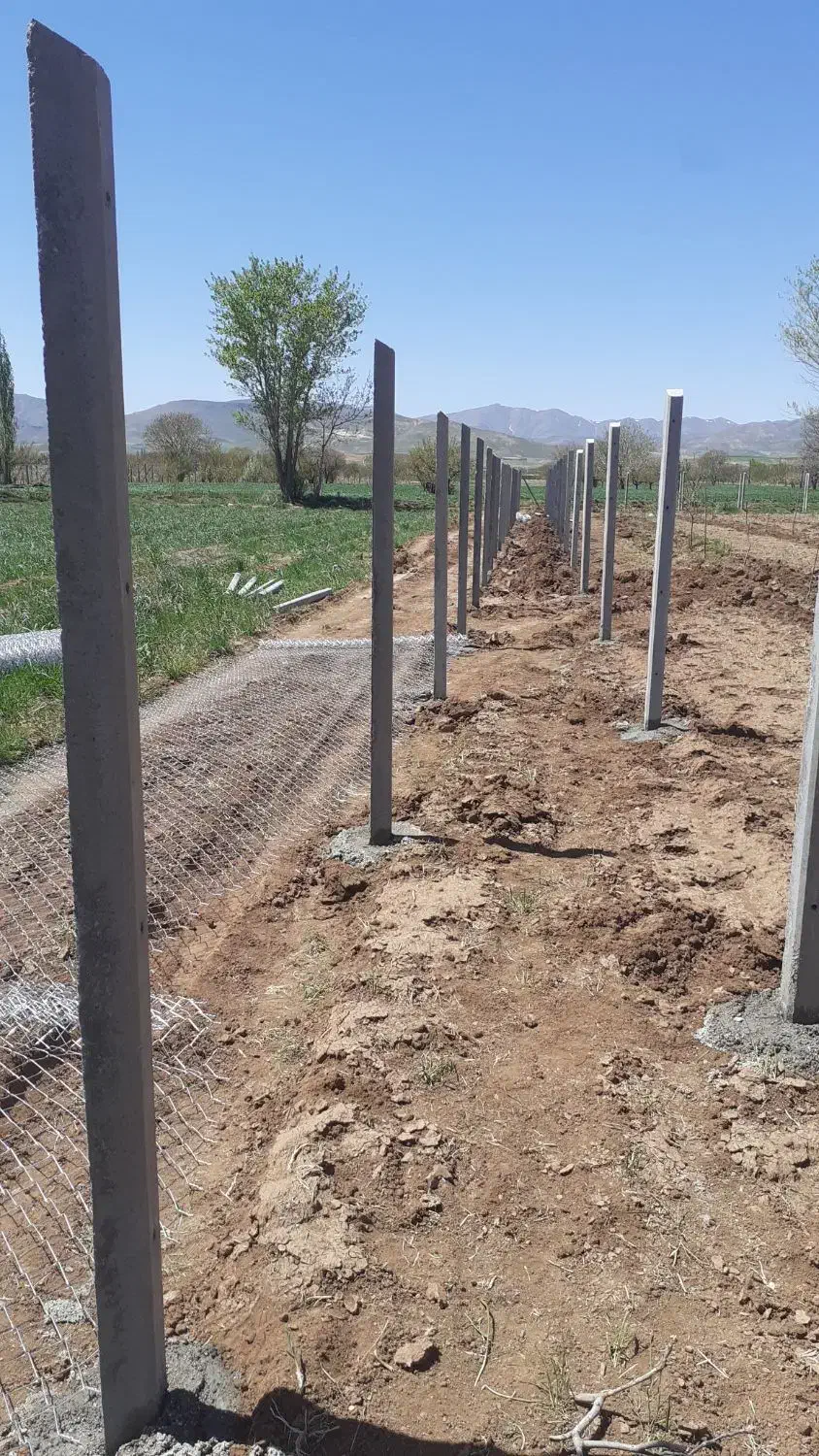 فنس کشی و نصب تیرچه|خدمات باغبانی و درختکاری|ابهر, |دیوار