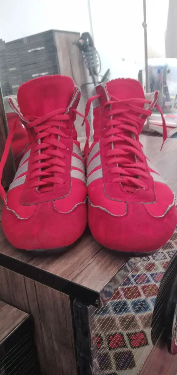 کفش کشتی|کیف، کفش، کمربند|آستارا, |دیوار