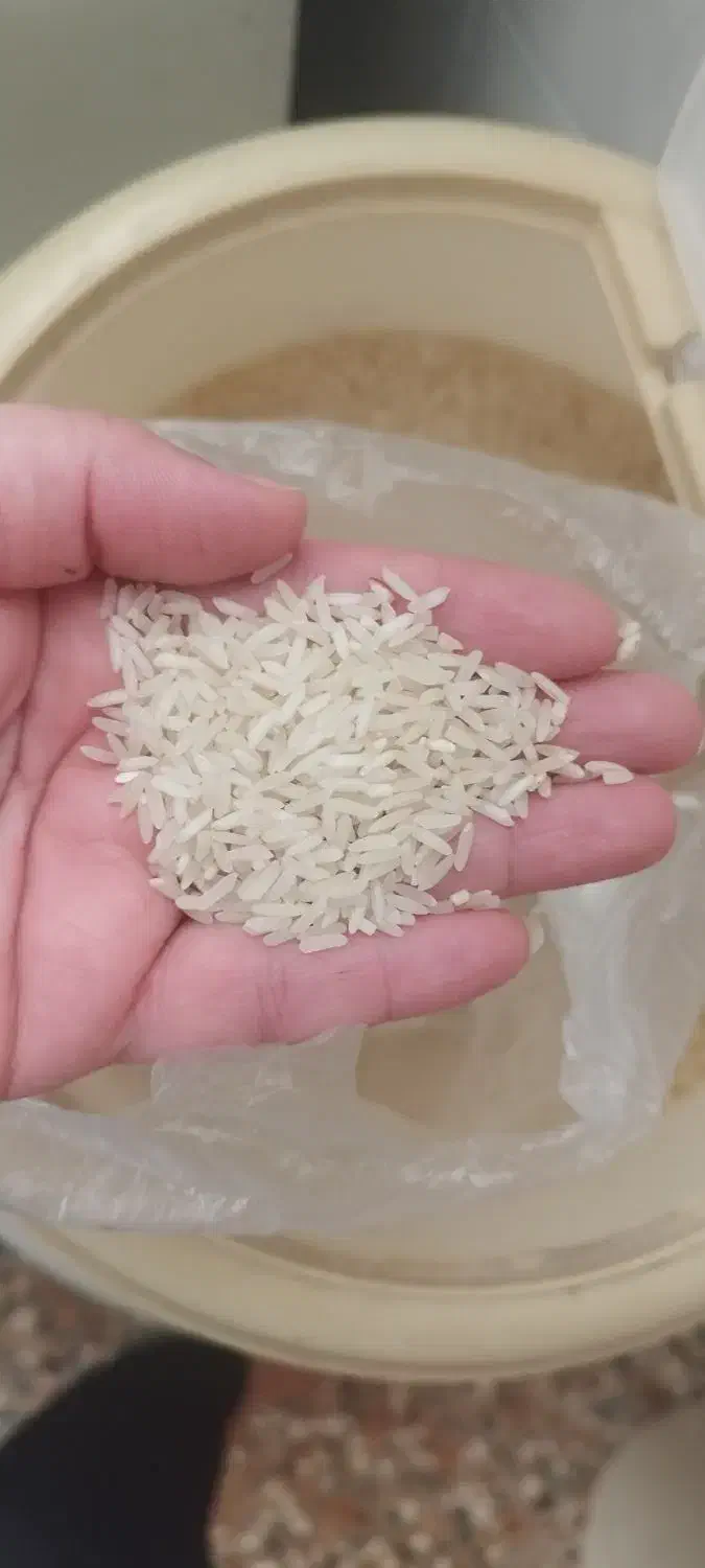 فروش برنج فجر سوزنی|خوردنی و آشامیدنی|چرداول, |دیوار