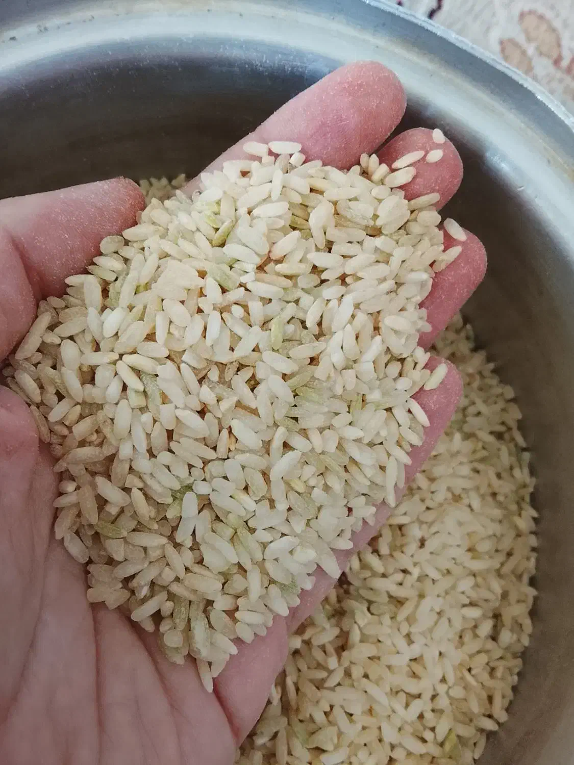 برنج چمپا|خوردنی و آشامیدنی|یاسوج, |دیوار