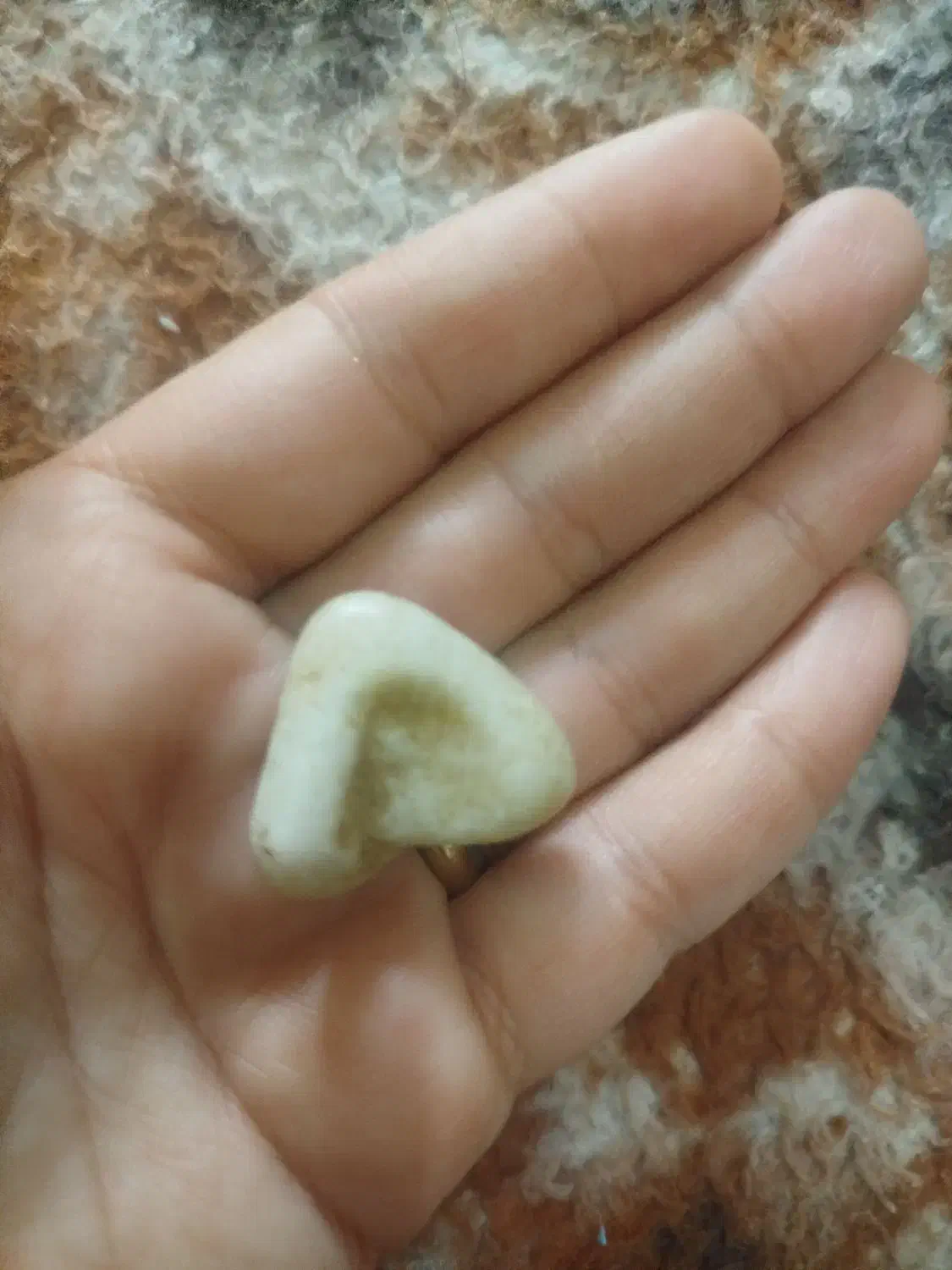 سنگ قیمتی|جواهرات|رشت, پل تالشان|دیوار