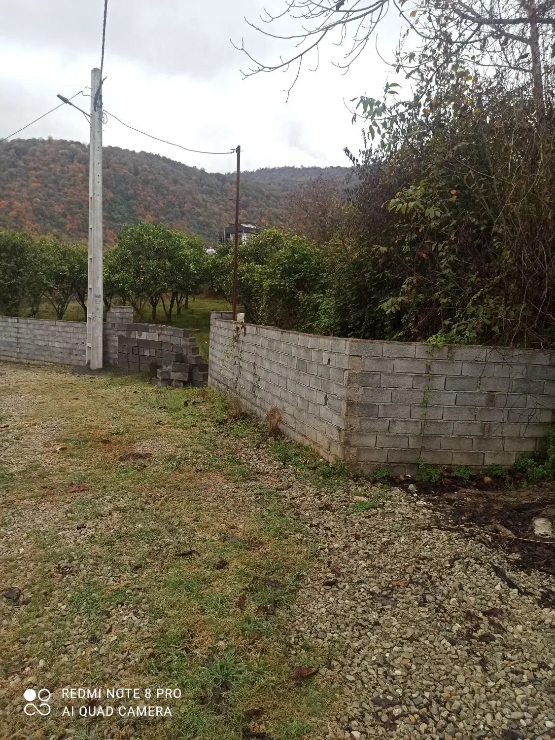 زمین|فروش زمین و ملک کلنگی|چالوس, |دیوار