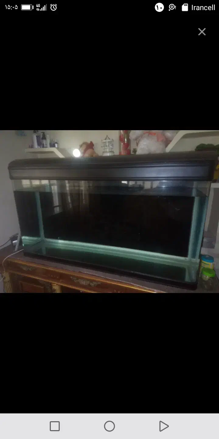 آکواریوم شیشه خم|ماهی|بومهن, |دیوار