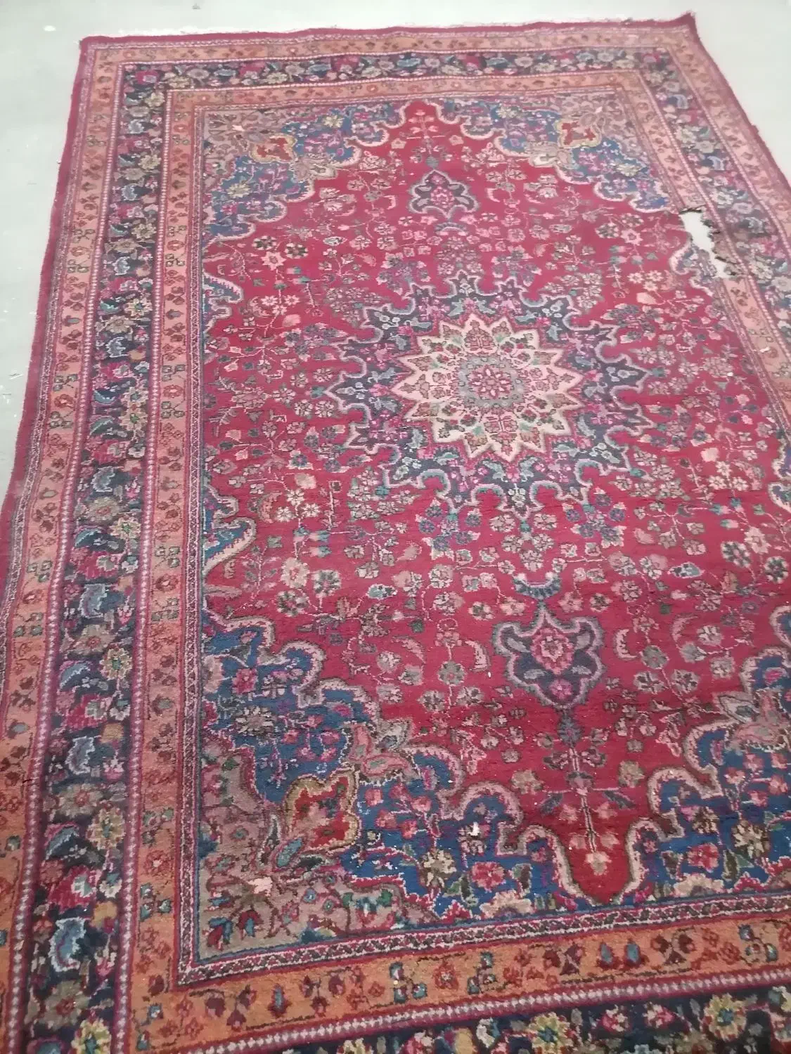 فرش دست بافت 6 متری|فرش|مشهد, خواجه ربیع|دیوار