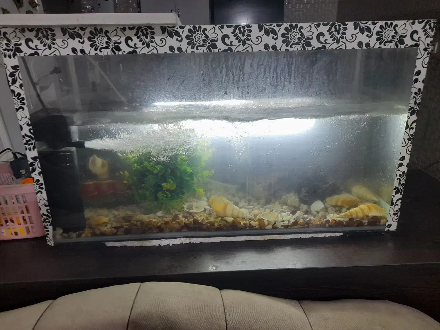 اکواریوم|لوازم جانبی حیوانات|شیراز, کوشک میدان|دیوار