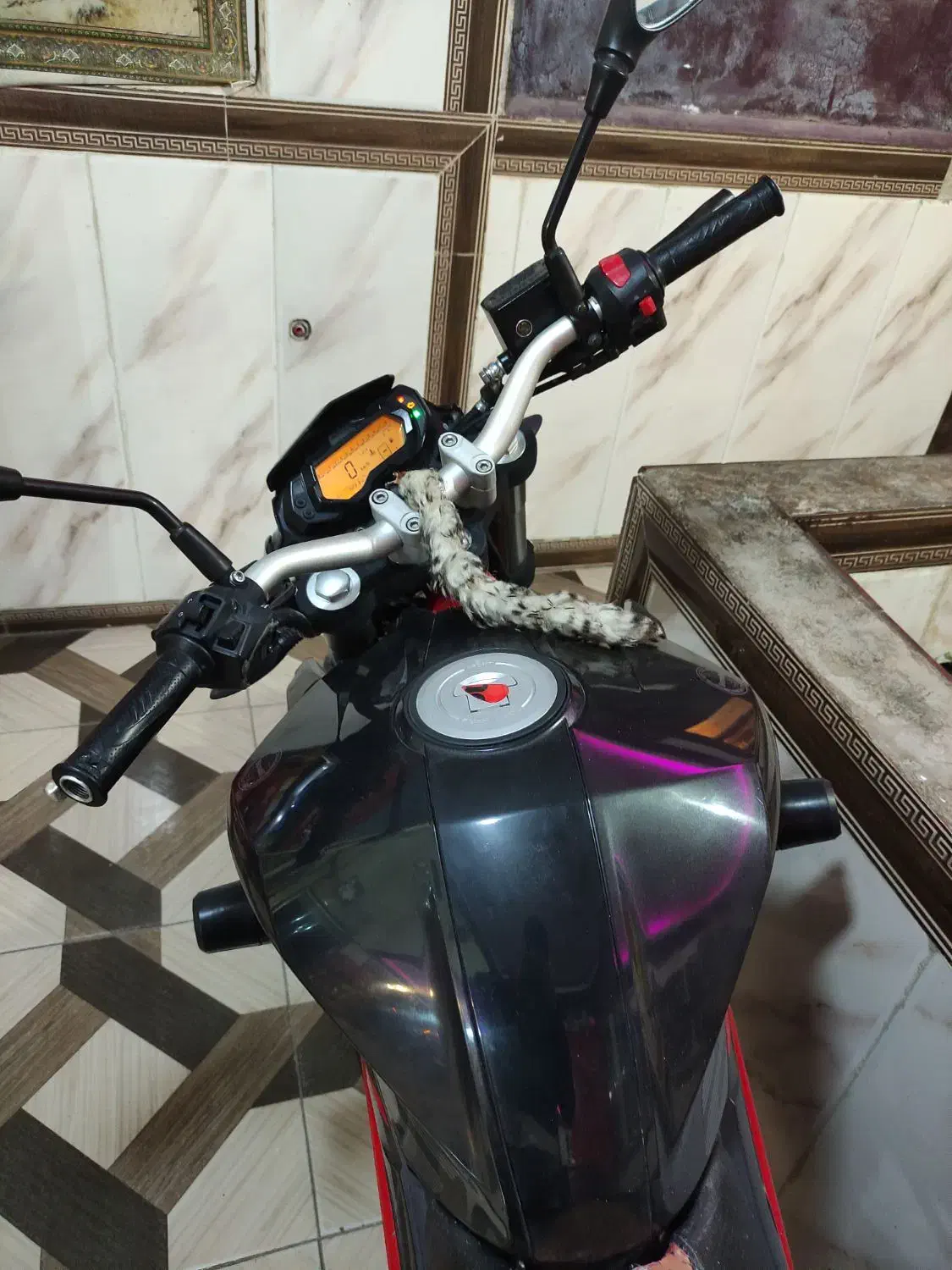 بنلی 250|موتورسیکلت|اشترینان, |دیوار