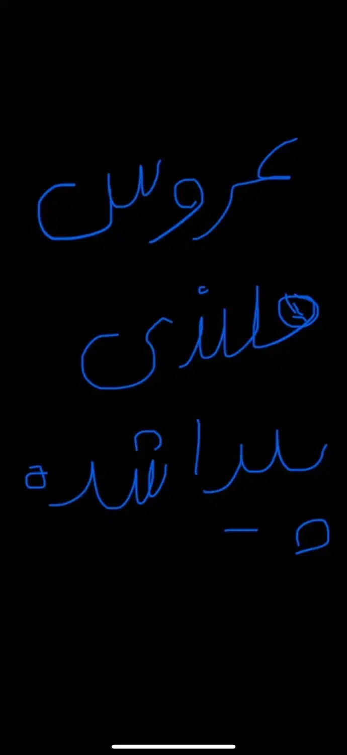 یک عروس هلندی پیدا شده|حیوانات|بندرعباس, |دیوار