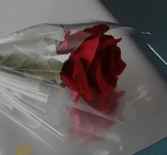 سلفون گل طبیعی|گل و گیاه طبیعی|ایلام, |دیوار