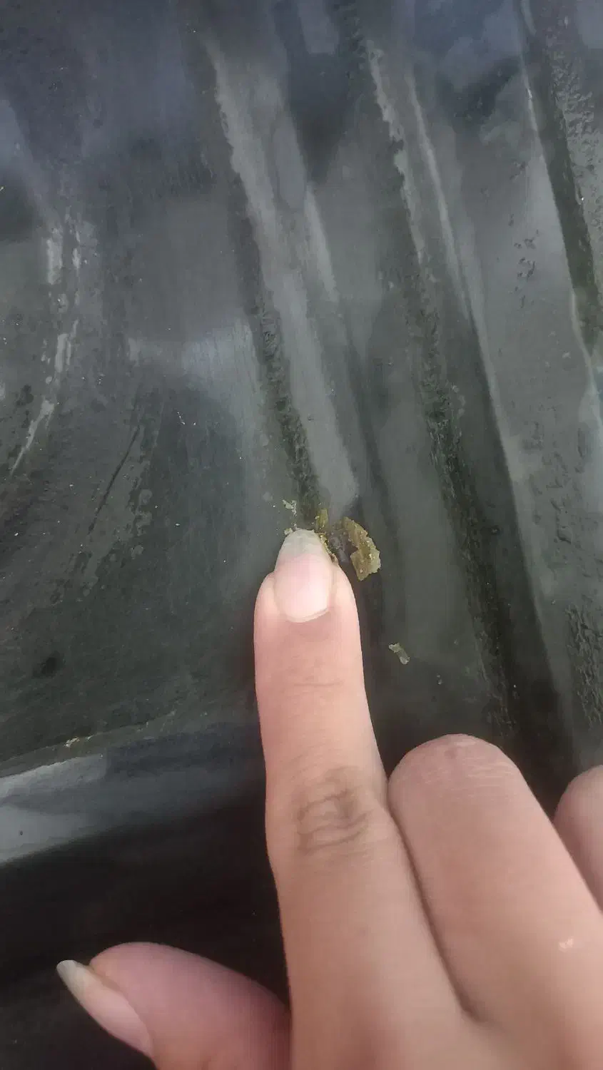 چربی زدا|مواد شوینده و دستمال کاغذی|قوچان, |دیوار