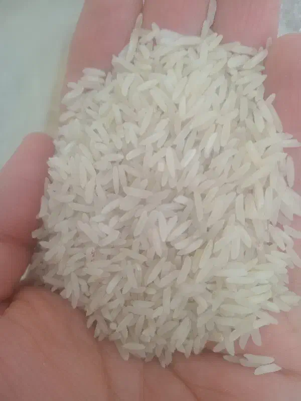 برنج طارم|خوردنی و آشامیدنی|ایلام, |دیوار