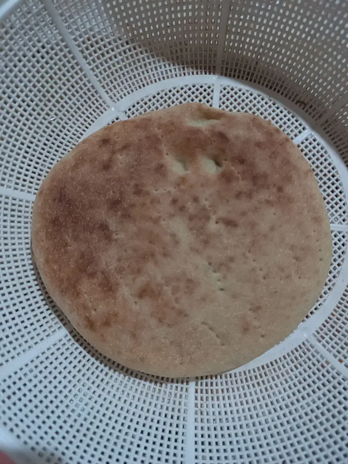 کلوچه خانگی|خوردنی و آشامیدنی|مسجد سلیمان, |دیوار