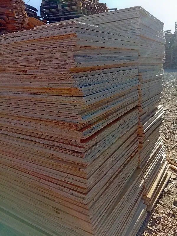 چندلایی و سه لایی در انواع ضخامت|عمده‌فروشی|رباط‌کریم, رباط‌کریم|دیوار