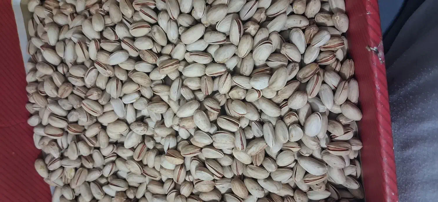 پسته اکبری|عمده‌فروشی|علی‌آباد کتول, |دیوار