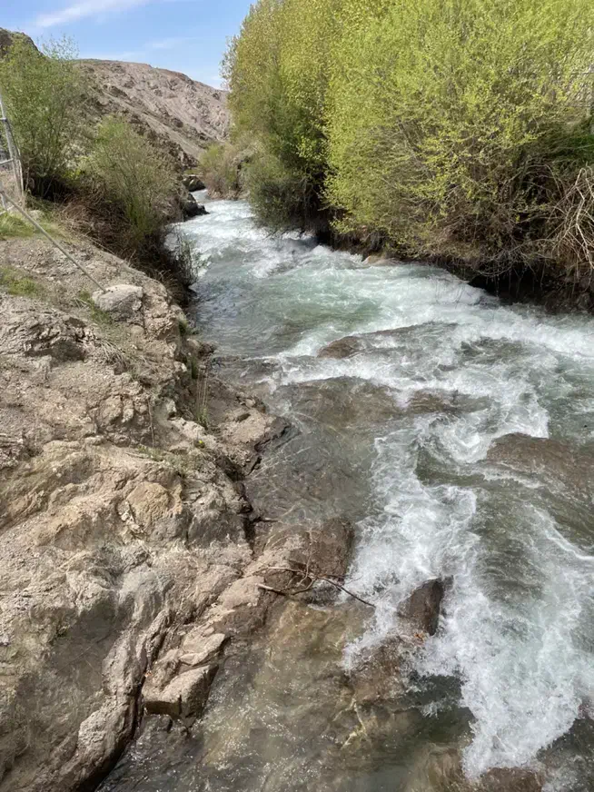 زمین کاربری مسکونی ویلایی|فروش زمین و ملک کلنگی|تهران, ارم|دیوار