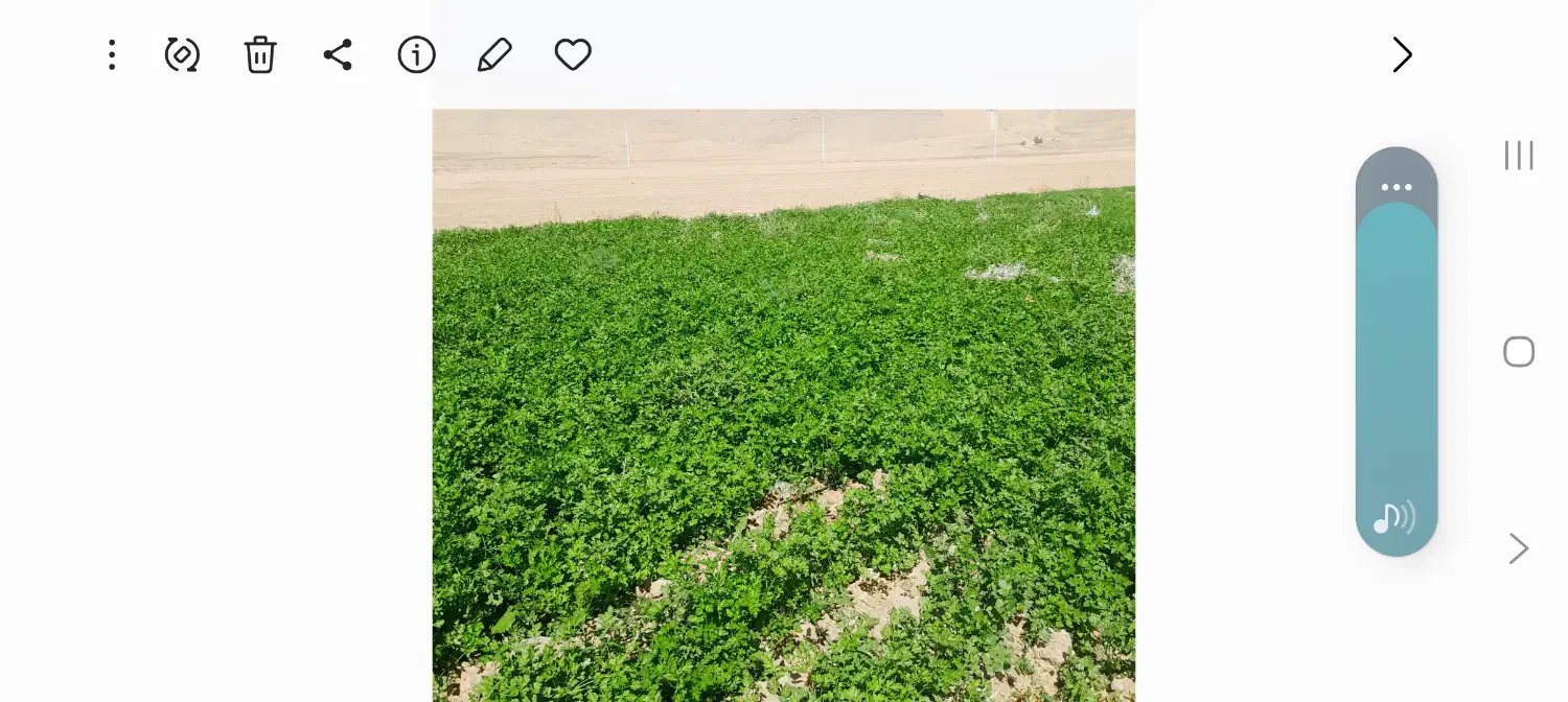 فروش|خوردنی و آشامیدنی|آبدان, |دیوار