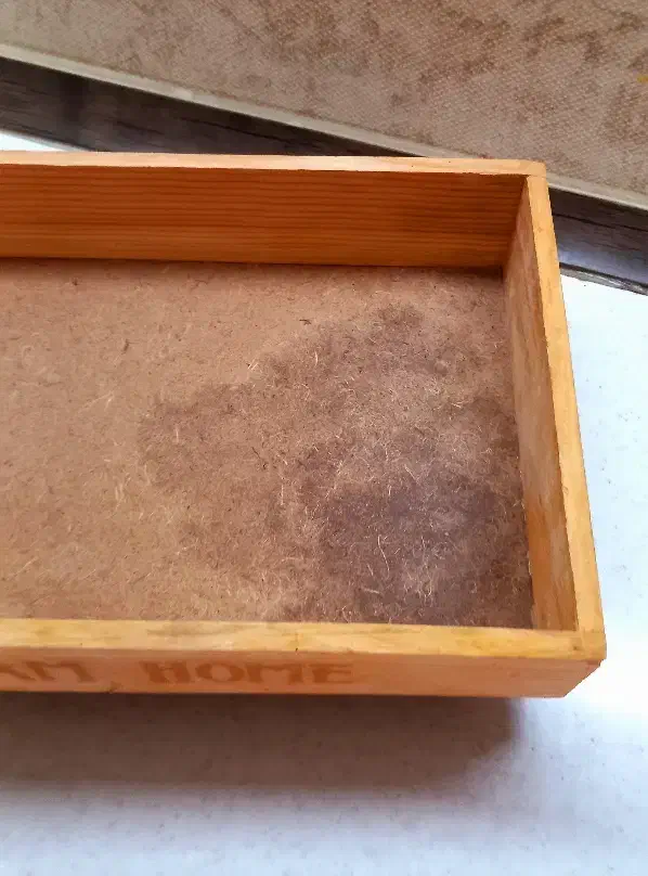 سینی چوبی شیک مناسب آشپزخانه|ظروف سرو و پذیرایی|سبزوار, همت|دیوار