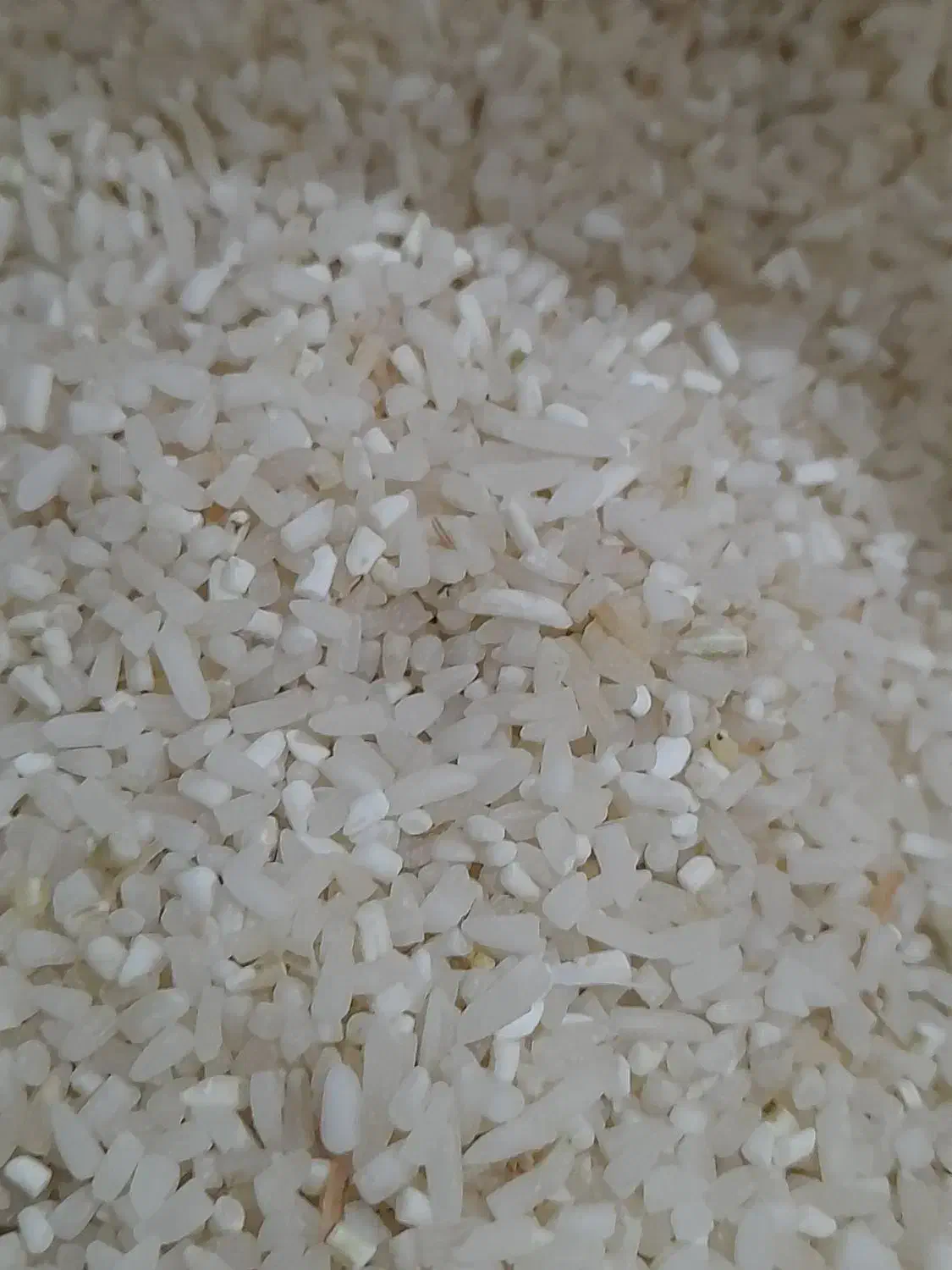 برنج نیم دانه پر محصول دودی|خوردنی و آشامیدنی|کوچصفهان, |دیوار