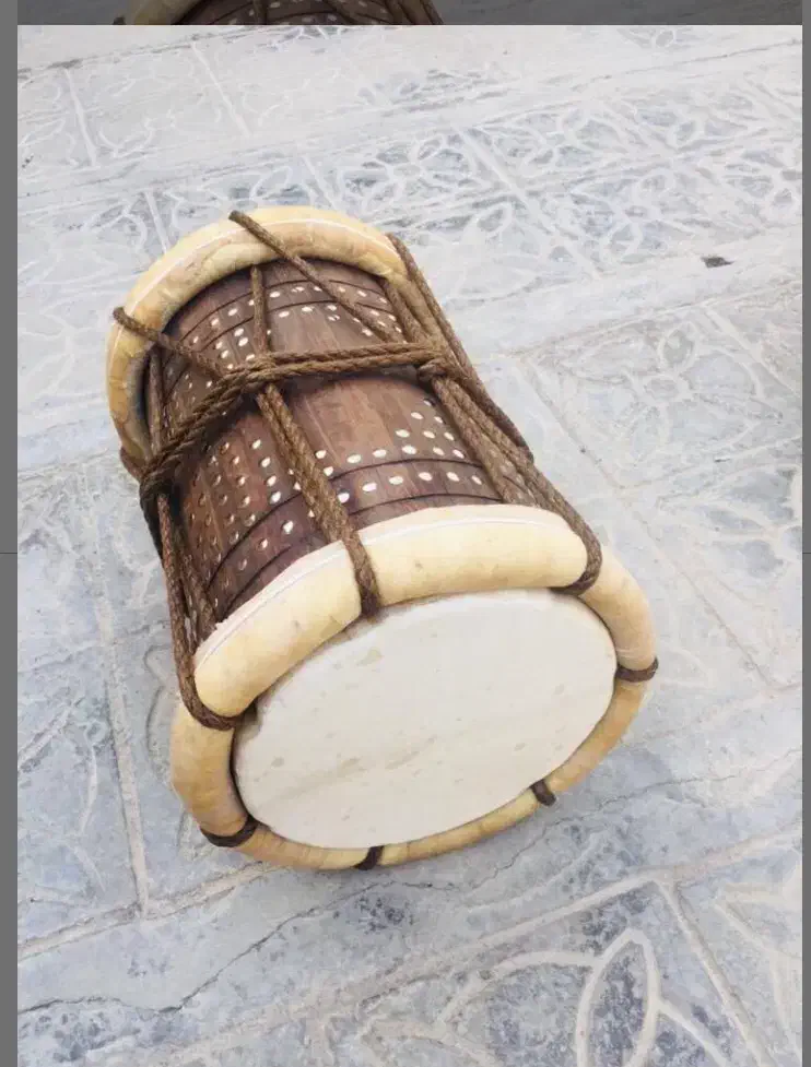 فروش پوست دباغی نشد برای دمام|سازهای سنتی|خورموج, |دیوار