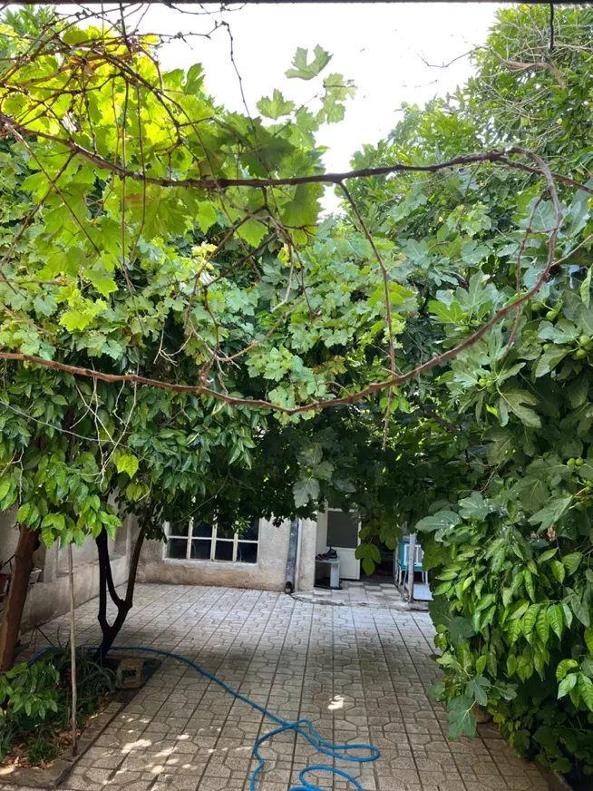 اقامتگاه 4خوابه نزدیک شاهچراغ|اجارهٔ کوتاهمدت آپارتمان و سوئیت|شیراز, شاهچراغ|دیوار