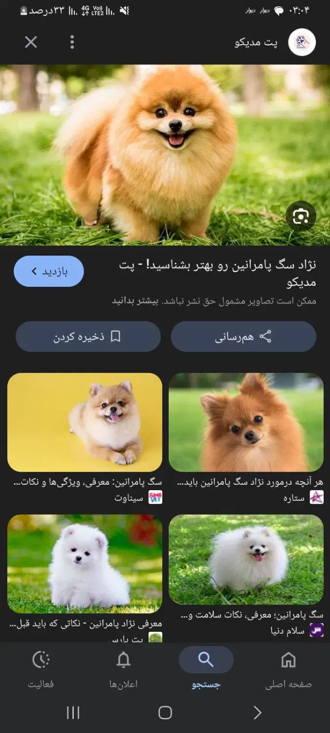 سلام سگ پا کوتاه واگذاری رایگان کسی داشت بیاد چت|سگ|ورامین, ورامین|دیوار