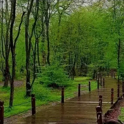 همسفر|فعالیت داوطلبانه|ری, علایین|دیوار