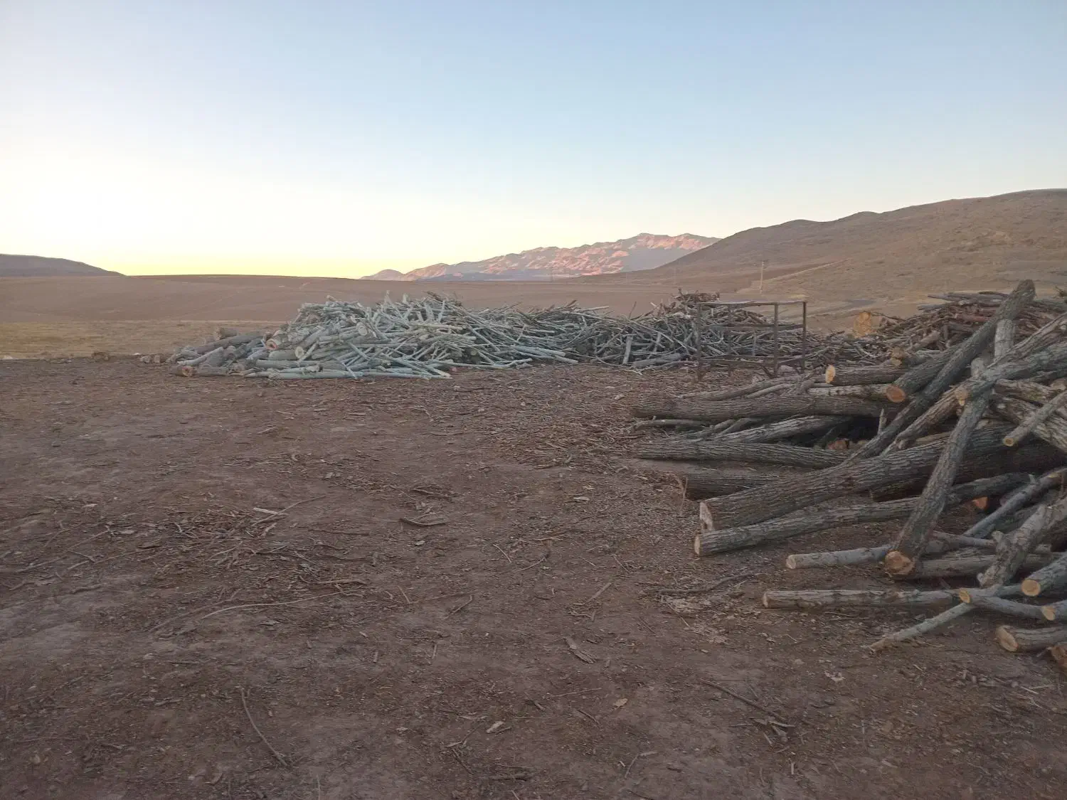 خریدار انوع چوب|خدمات باغبانی و درختکاری|آبگرم, |دیوار