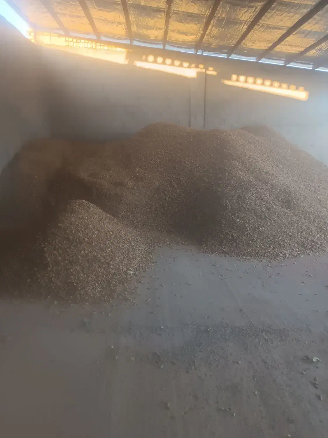 پوست بادام|خدمات باغبانی و درختکاری|بن, |دیوار