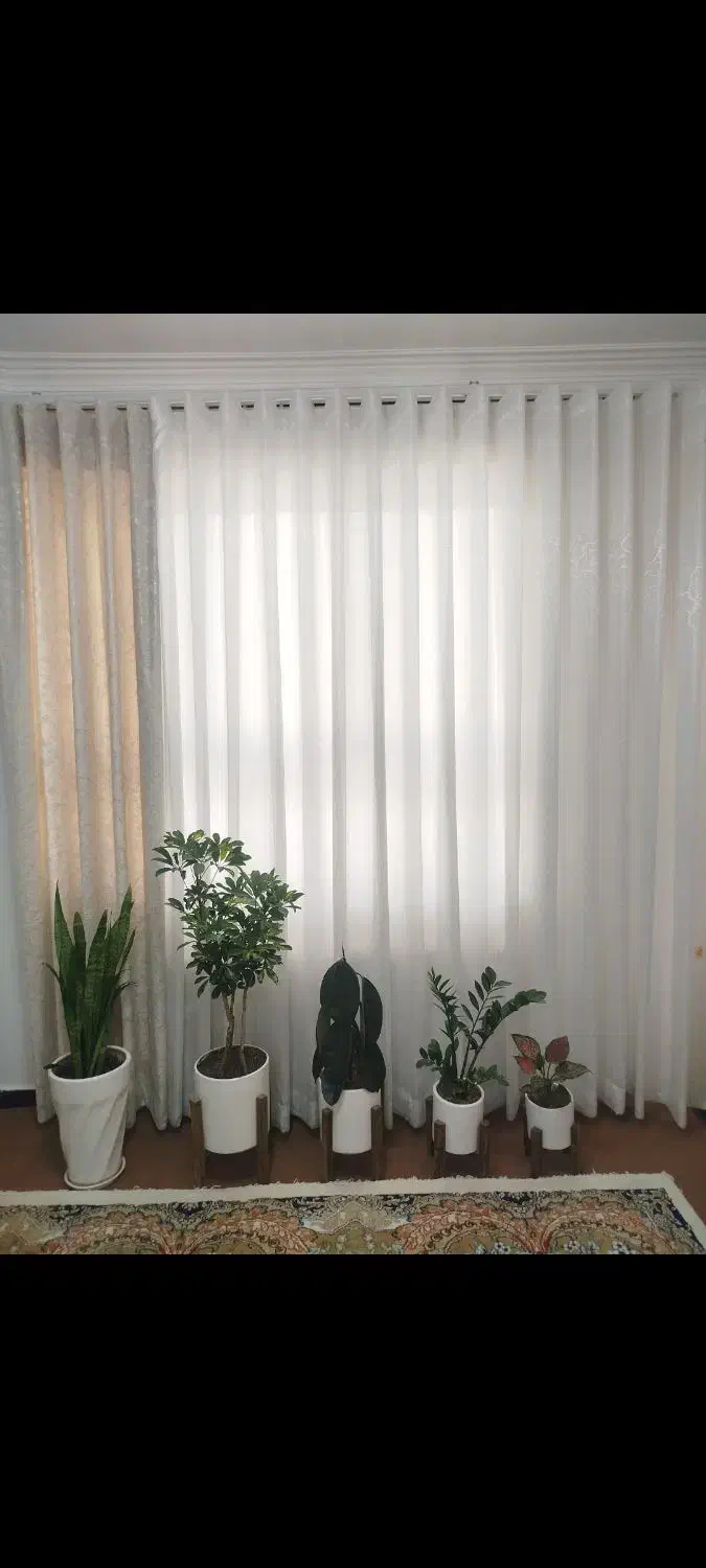 پرده با دستک مخمل طلاکوب|پرده، رانر، رومیزی|قائن, |دیوار