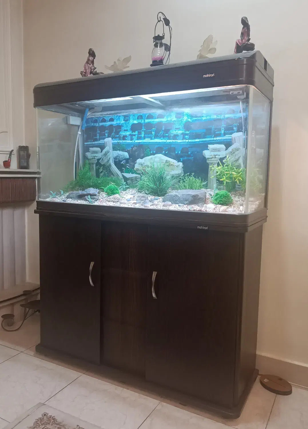 آکواریوم شیشه‌خم‌ ماهیران سری‌خارجی باهمه لوازم|ماهی|کرج, گلشهر|دیوار