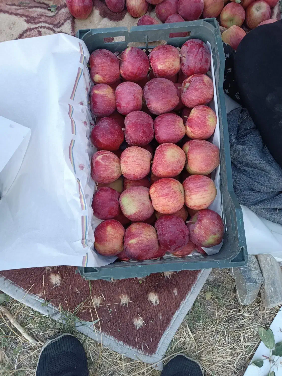 درجه 2 قیمت مناسب|خوردنی و آشامیدنی|باسمنج, |دیوار