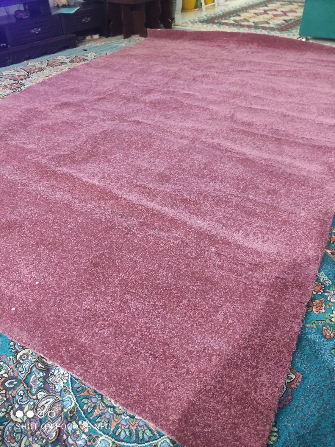 پالاز موکت۲در۳نو خوش رنگ|فرش|کرمان, |دیوار