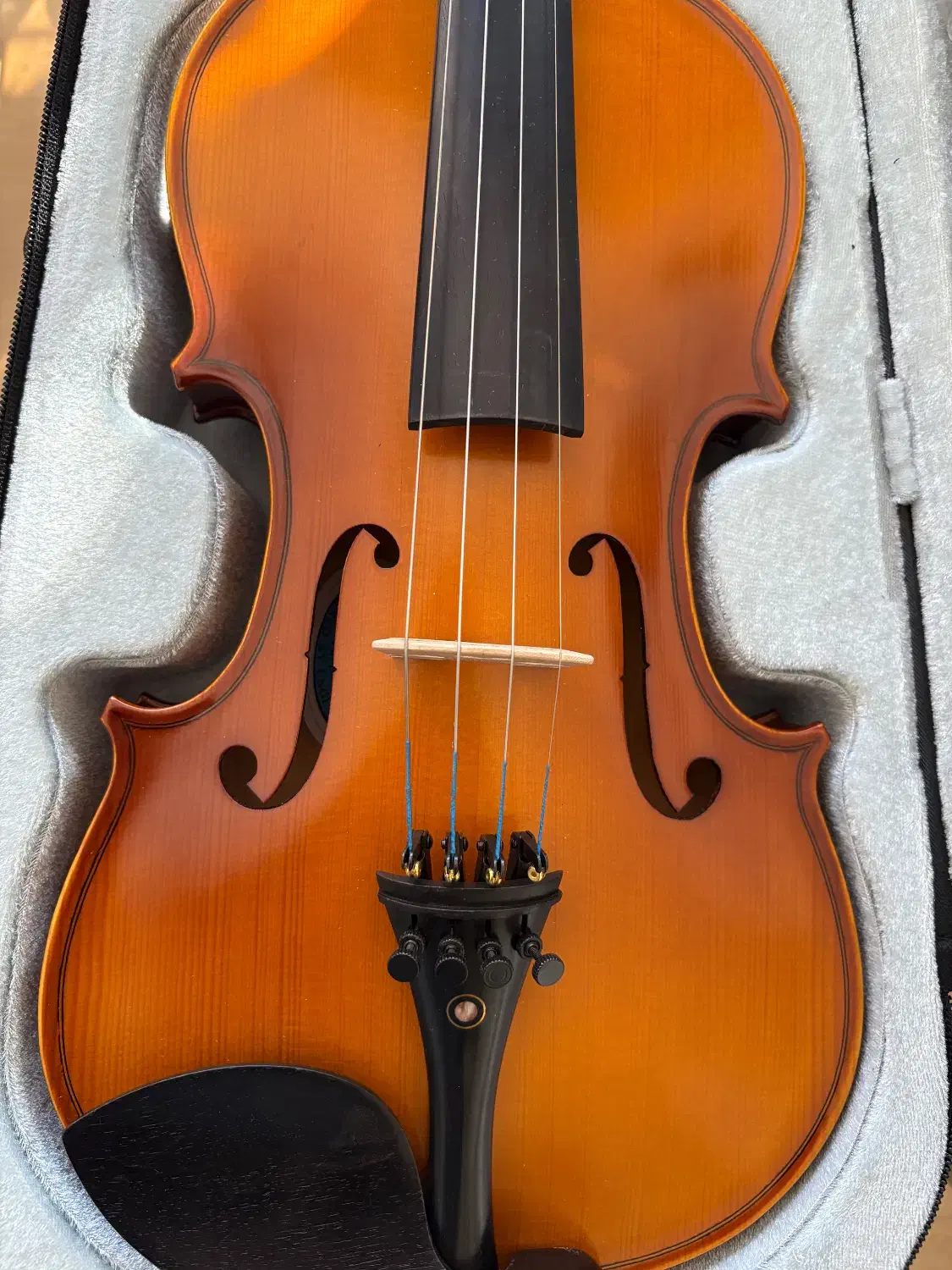 ویولن TF142 اصل (آکبند)|ویولن|رشت, امین الضرب|دیوار