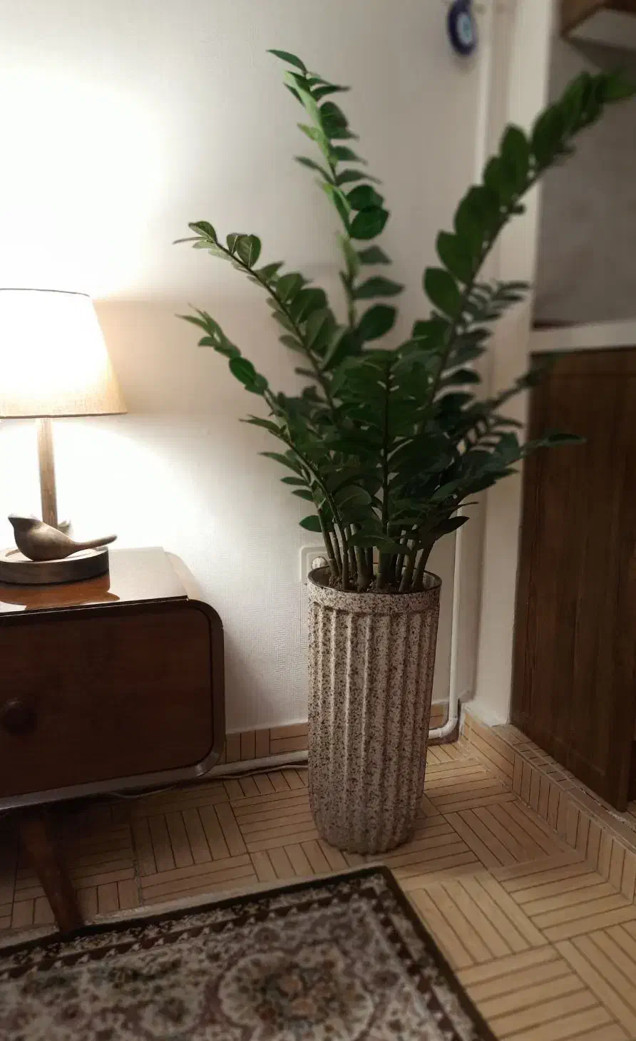 گل زاموفیلیا مصنوعی وارداتی|گل مصنوعی|ری, شهادت|دیوار