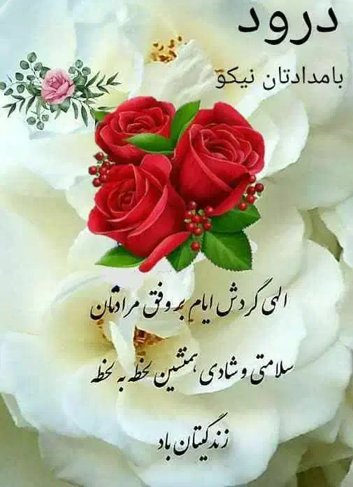 خط رند|سیم‌کارت|فولادشهر, سایت صنعتی کاوه|دیوار