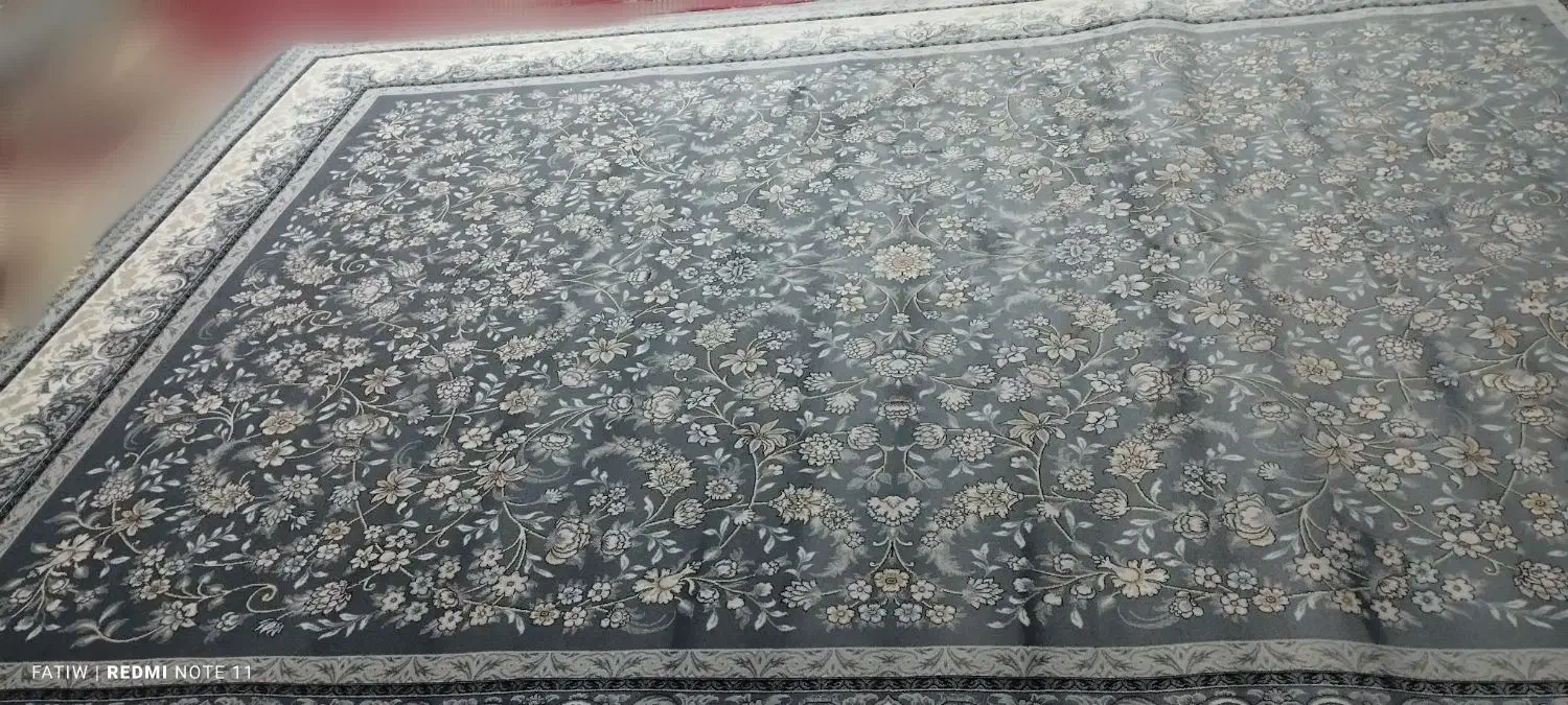 قالی 700شانه طوسی فیلی|فرش|رفسنجان, |دیوار