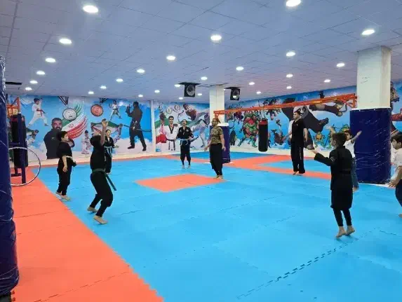 منشی باشگاه|استخدام اداری و مدیریت|شیراز, هفت تنان|دیوار