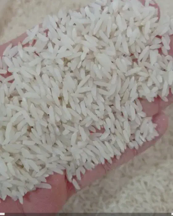 برنج هاشمی و لاشه برنج|عمدهفروشی|تالش, تالش|دیوار