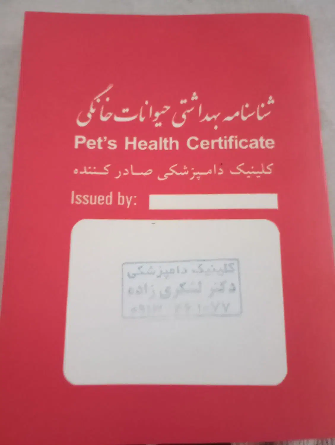 سگ درنظامشهر|سگ|نرماشیر, |دیوار