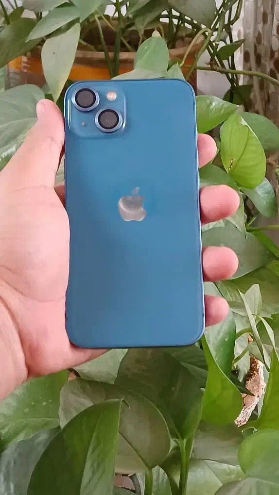 آیفون 13 نرمال ch|موبایل|کرمان, |دیوار