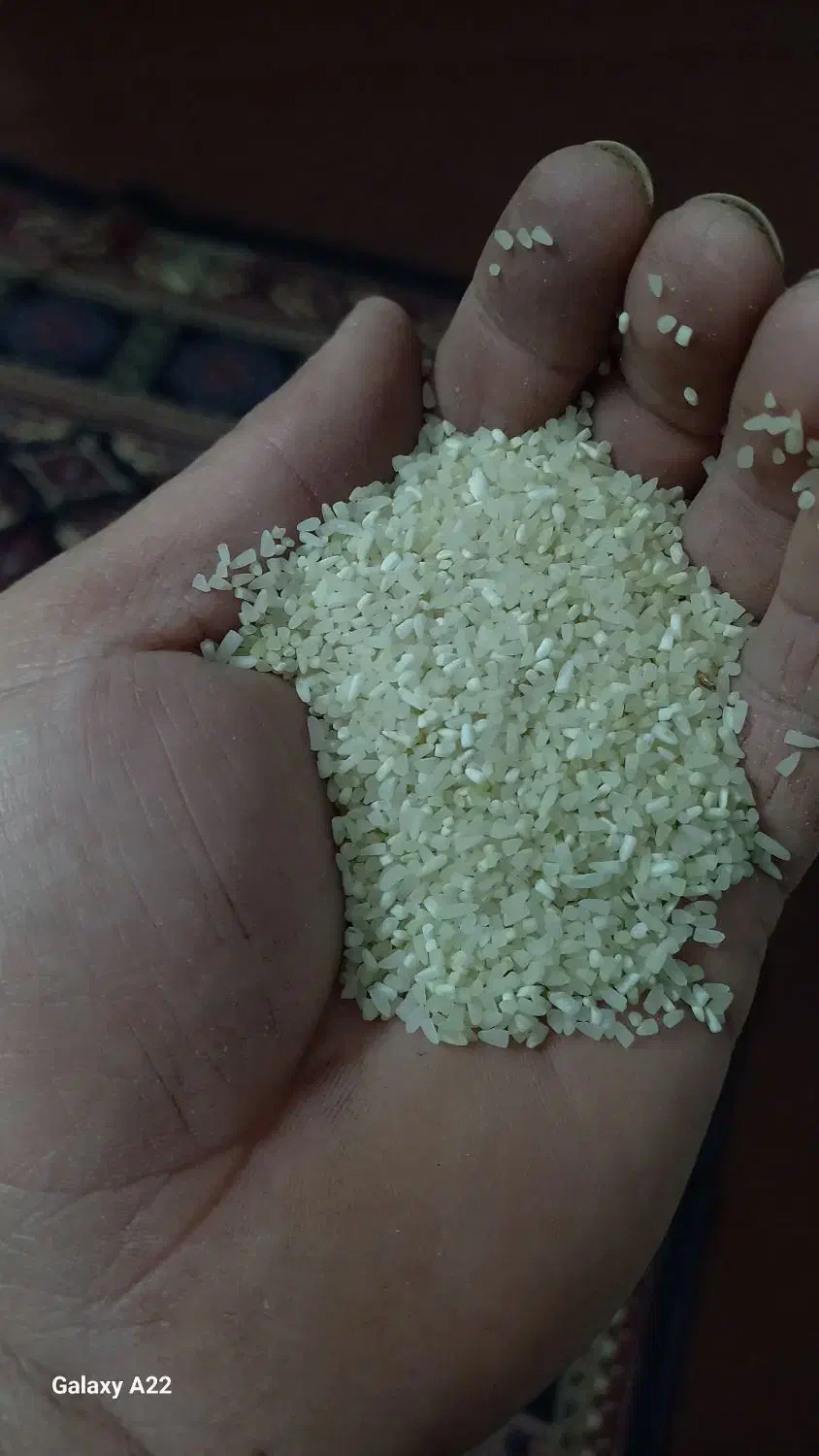 نیم دانه فجر|عمدهفروشی|سنگدوین, |دیوار