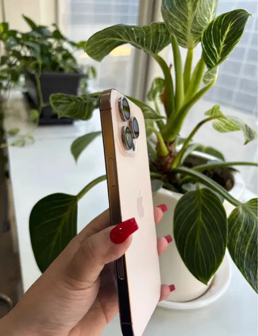 iphone 16 max|موبایل|چابهار, |دیوار