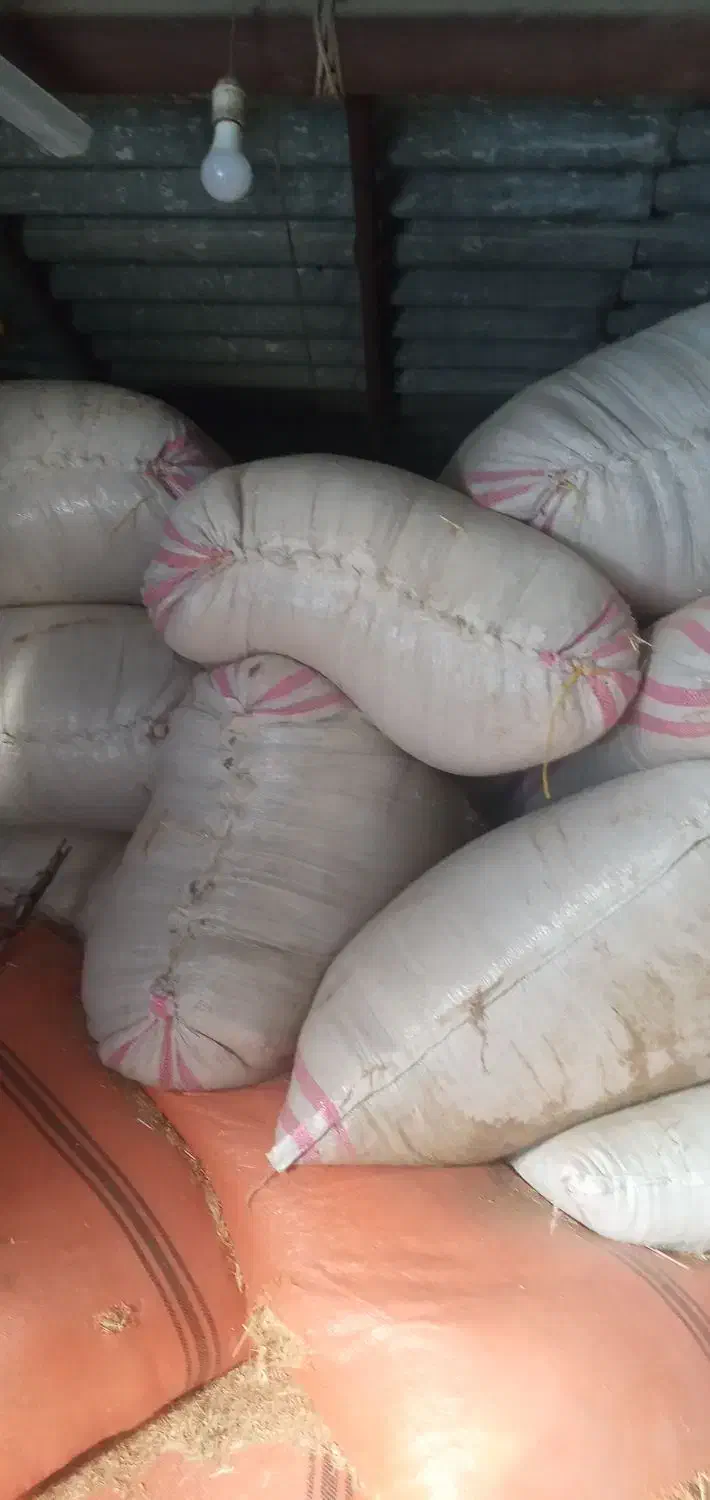 فروش کاه دیم کیلویی 16تخفیف پای مامله|حیوانات مزرعه|گتوند, |دیوار