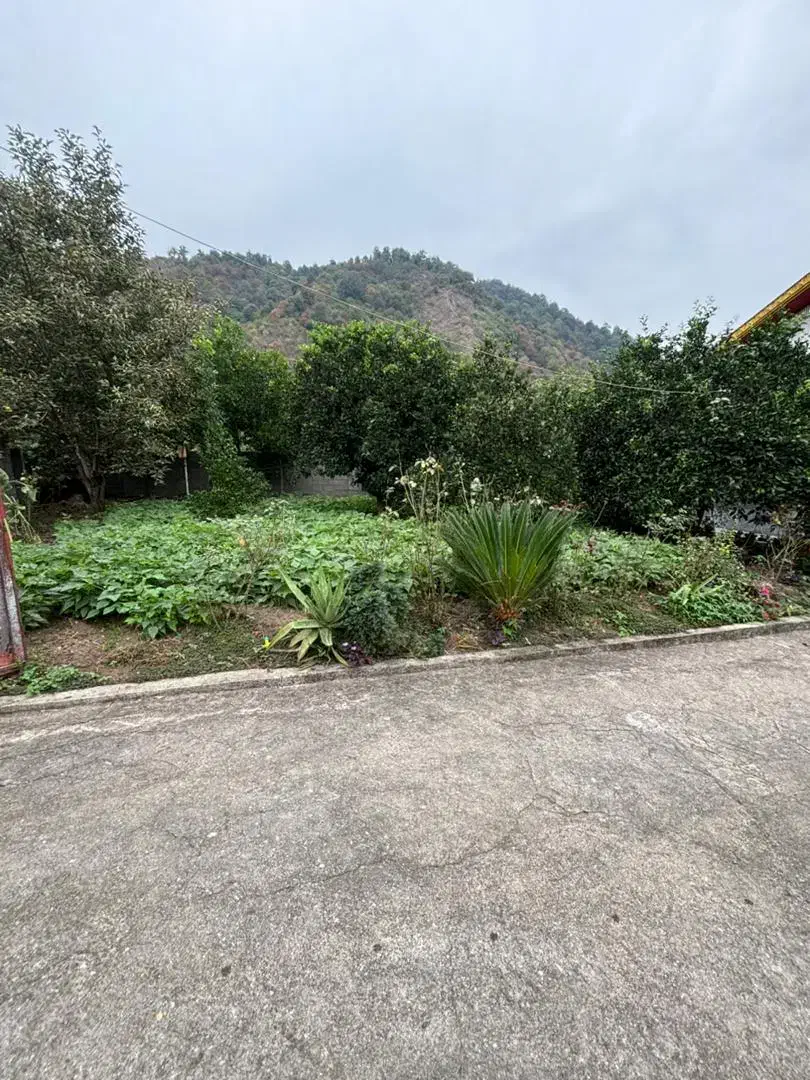 خانه ویلایی به همراه زمین|فروش خانه و ویلا|تالش, جوکندان|دیوار