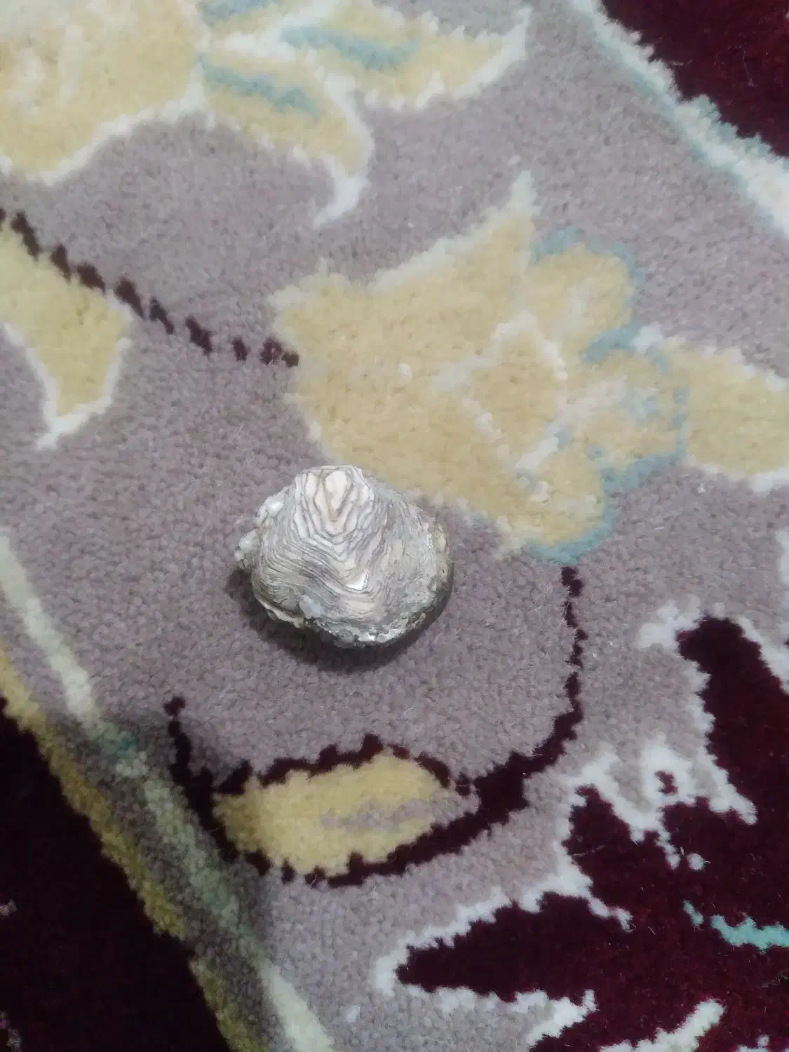 عتیقه|کلکسیون اشیاء عتیقه|صابری, |دیوار