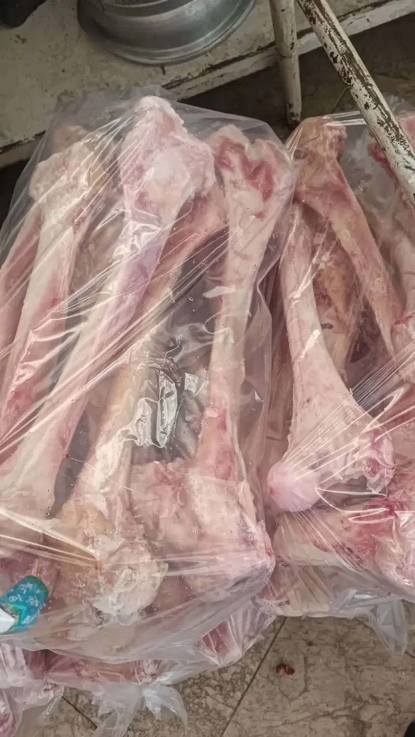 قلم گوساله .شتر|خوردنی و آشامیدنی|مشهد, کارگران|دیوار