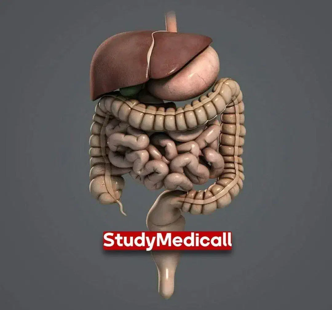 مشاوره و برنامه‌ریزی کنکور ۱۴۰۵|خدمات آموزشی|کرمانشاه, |دیوار