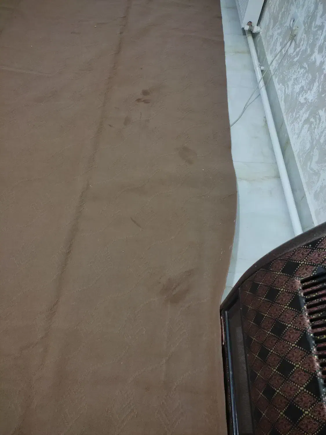 موکت|موکت|تبریز, |دیوار